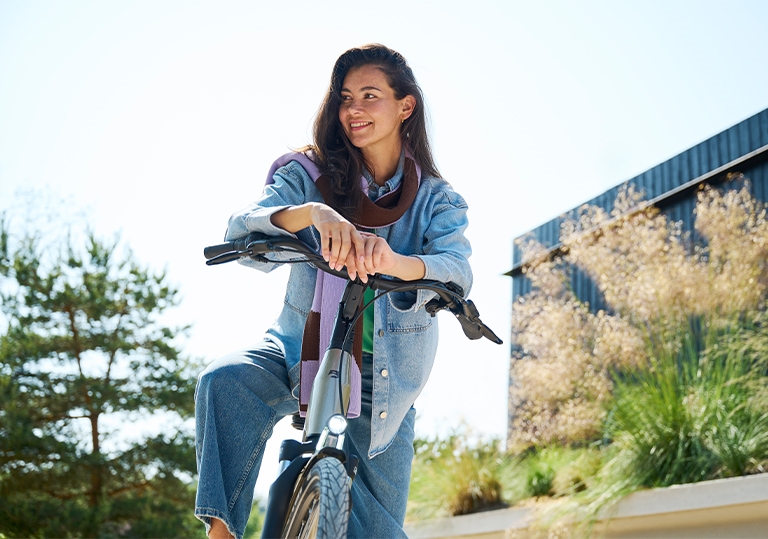 imagesjobpage768x539batavus